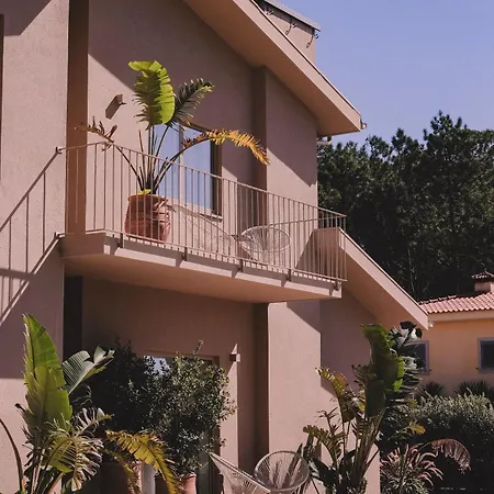 Casa Pacata, Beachside Escape 公寓 拉布鲁吉